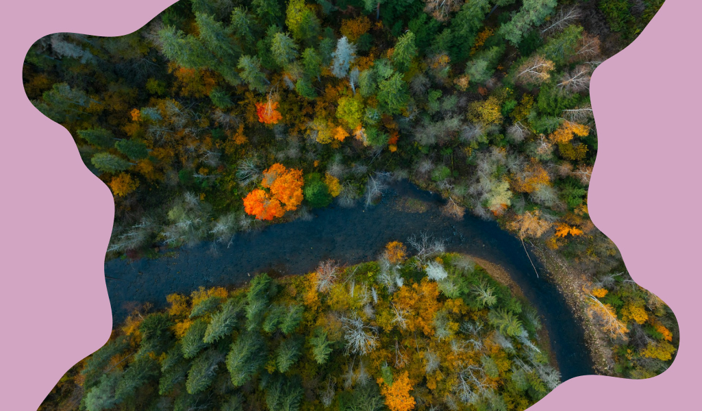 Landal Miggelenberg mask
